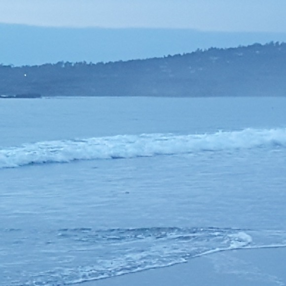 Meet your Posher, Lucy - Picture 1 of 1